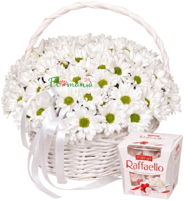 Корзина из хризантем с Raffaello «Домашний уют»