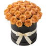 25 роз капучино в шляпной коробке Cappuccino Rose